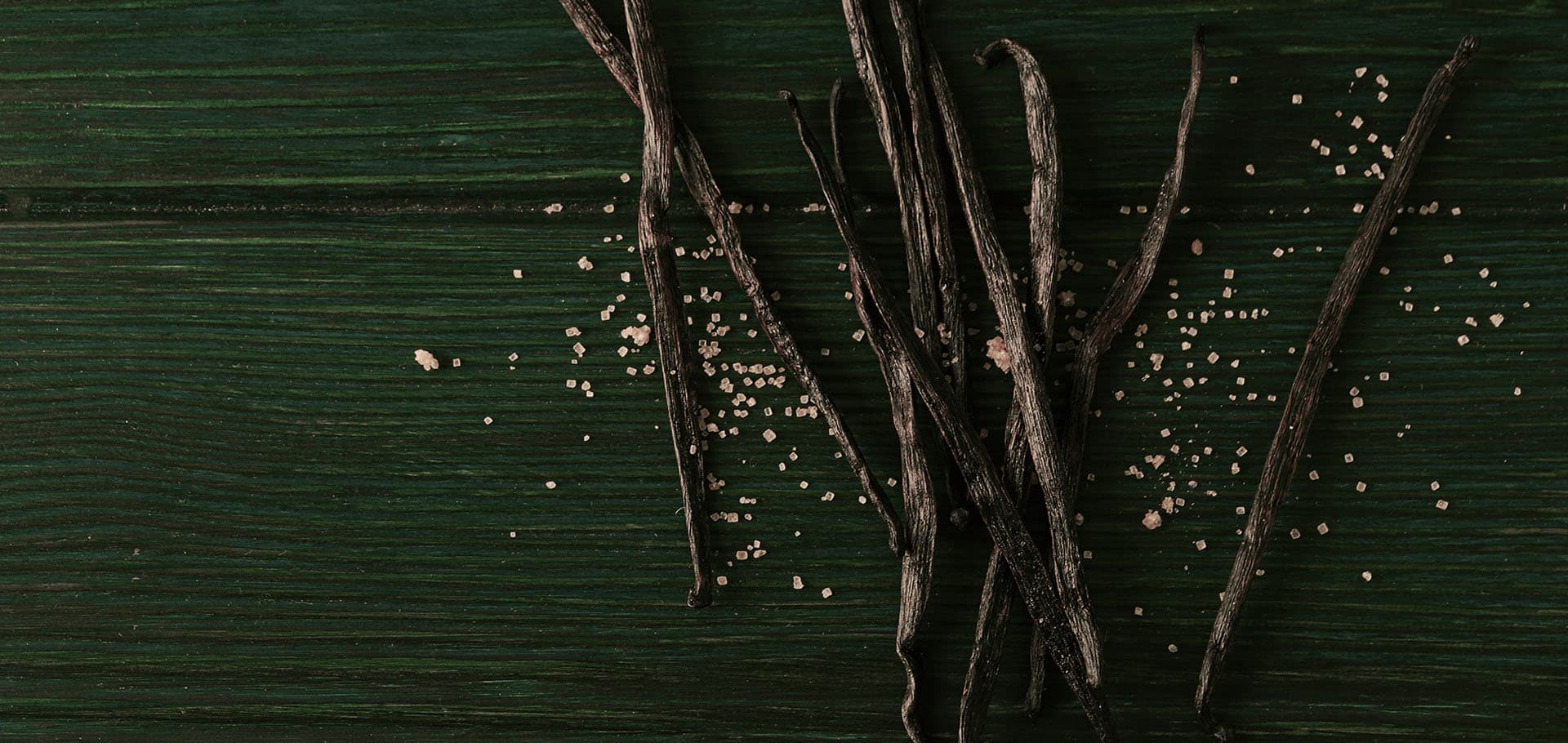 Madagascar vanilla orchid and spices