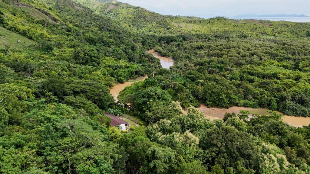 Alcohol Vanilla Extract 2-Fold – 50 ml