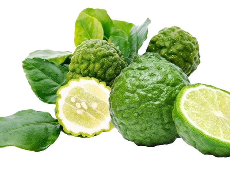 Combava Powder – Kaffir Lime – Madagascar – 20 g (Glass Tube)