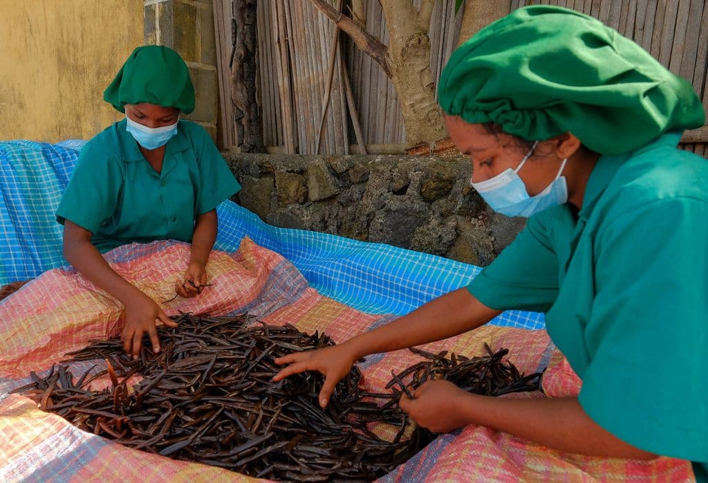 BIO / ORGANIC Bourbon Vanilla Powder – 1 kg Grade A