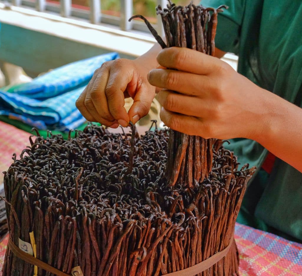 Premium Bourbon Vanilla Pods / Beans Grade A – GOURMET 250 g