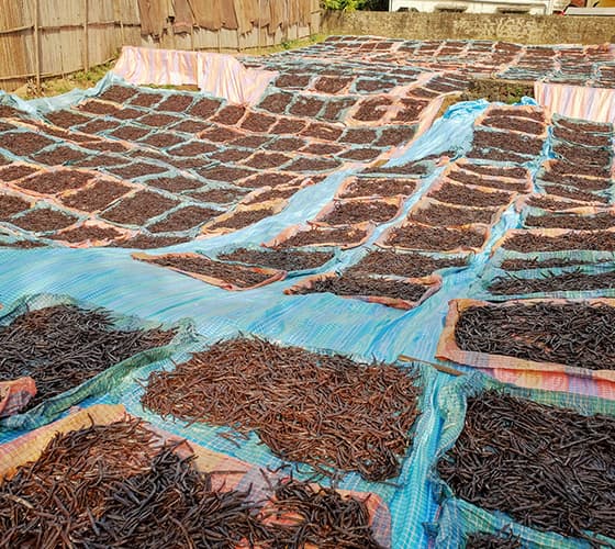 Premium Bourbon Vanilla Pods / Beans Grade A – GOURMET 250 g