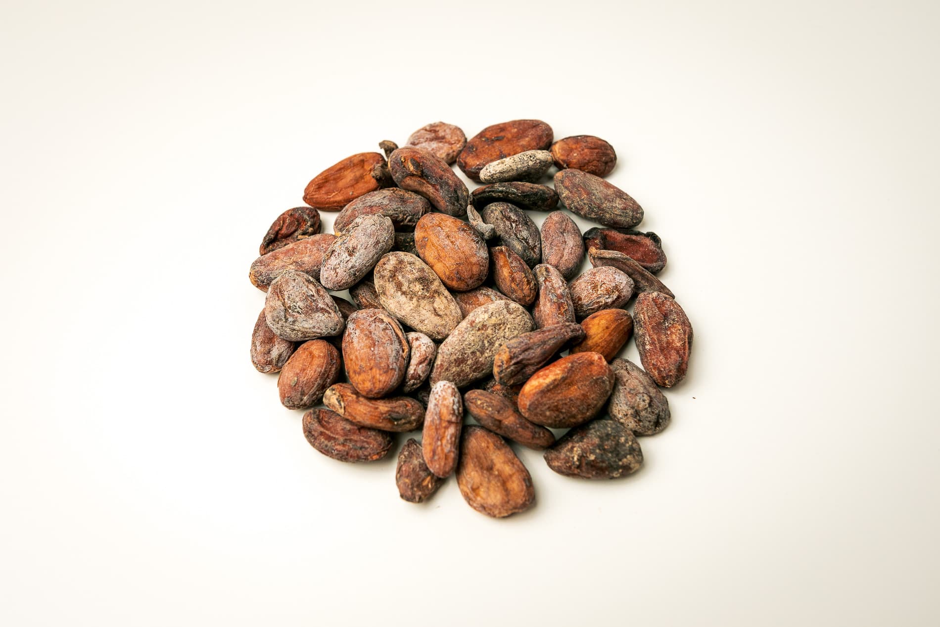 Madagascar Cocoa Beans – Trinitario Fine Flavour